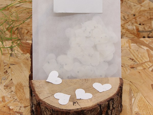 3 Idées de confettis respectueux de l&rsquo;environnement